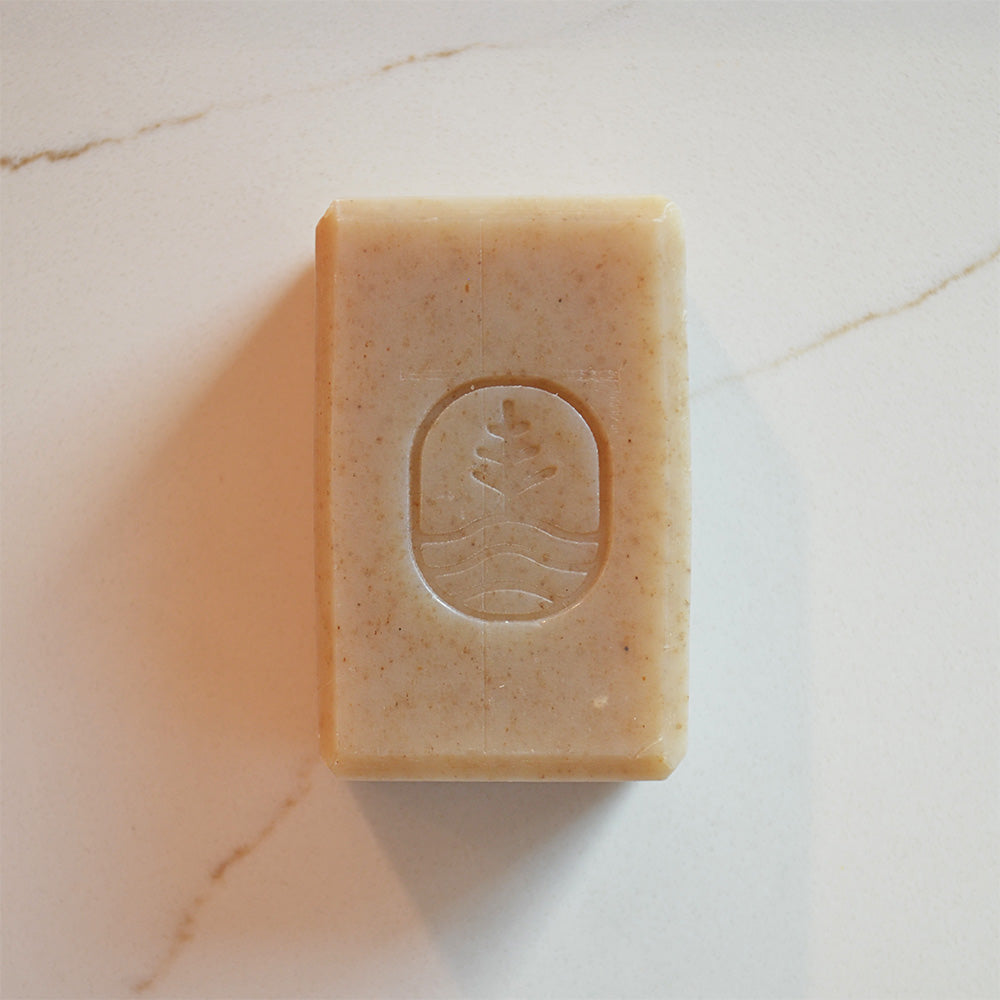 Shou Wu & Ginger|Energizing, Root-Infused Botanical Soap by Tsoji