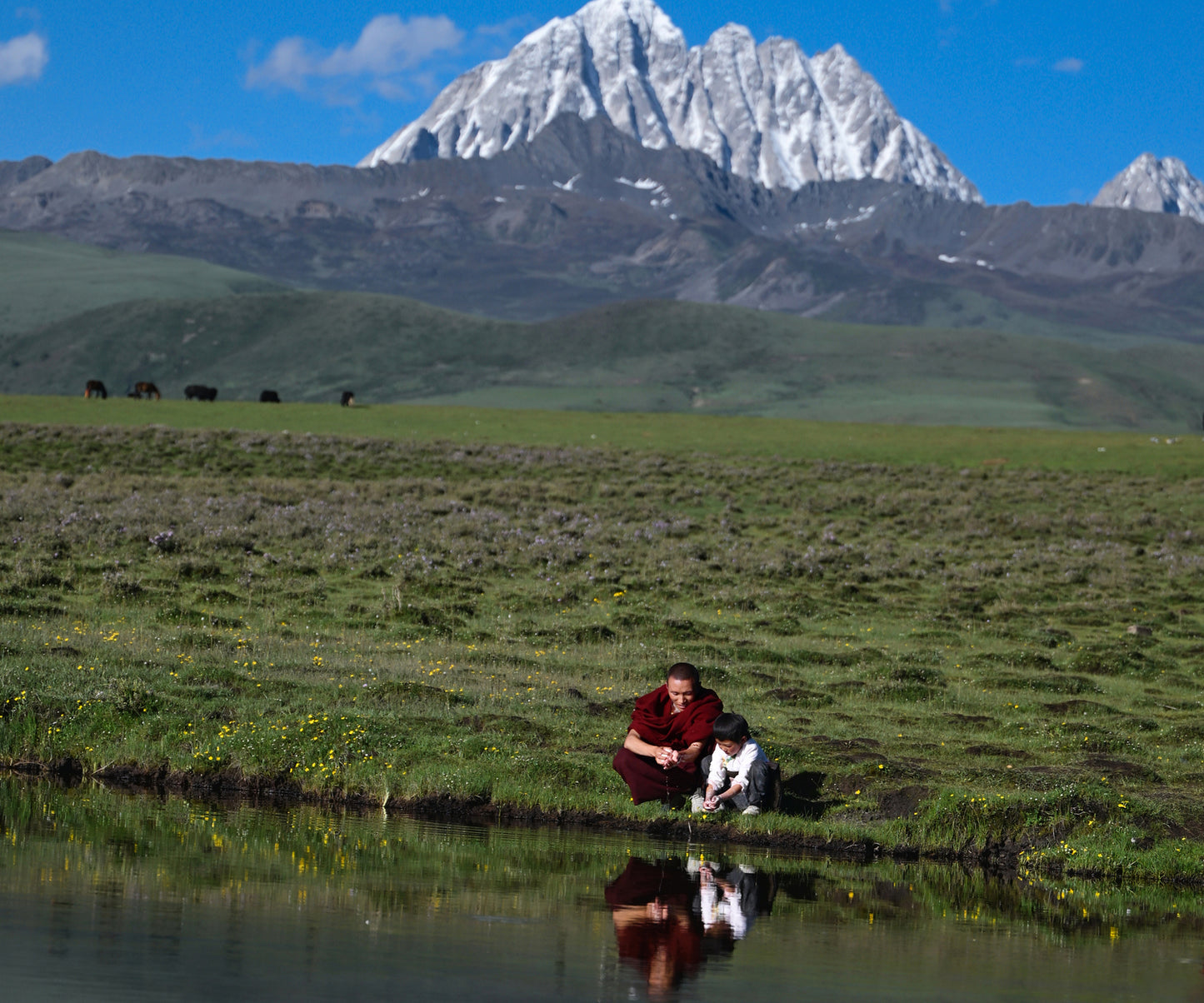Tsoji Yin & Yang Shower Duo Soap Bars 3.88 oz per bar · Set of 2